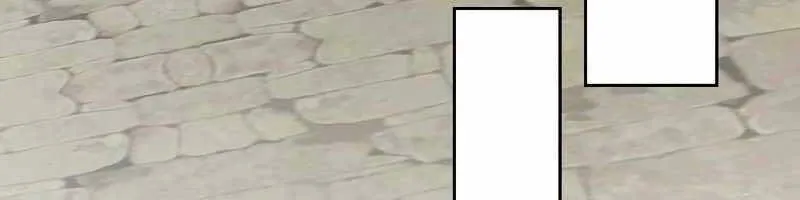 Linh mục sư tha hoá Chap 3 - Next Chap 4