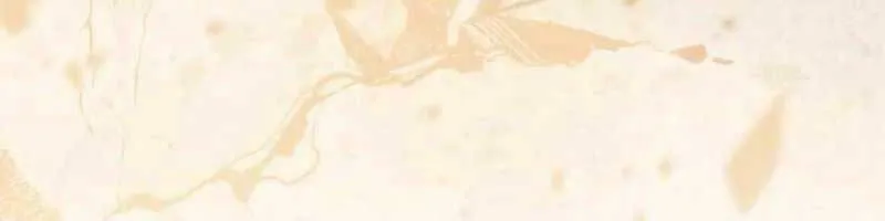 Linh mục sư tha hoá Chap 5.5 - Next Chap 6.5