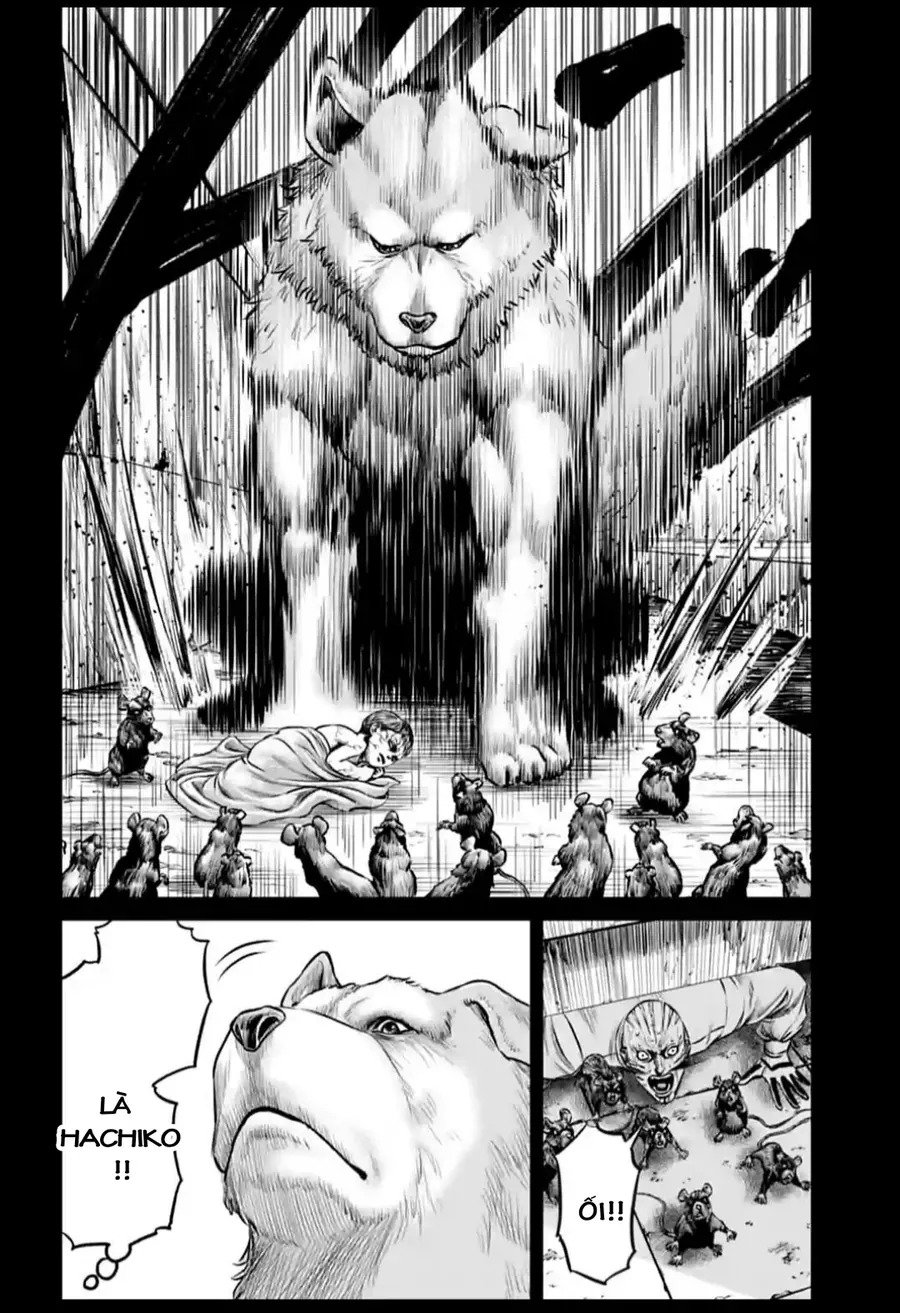 Loạn Đấu Tokyo Chap 93 - Next Chap 94