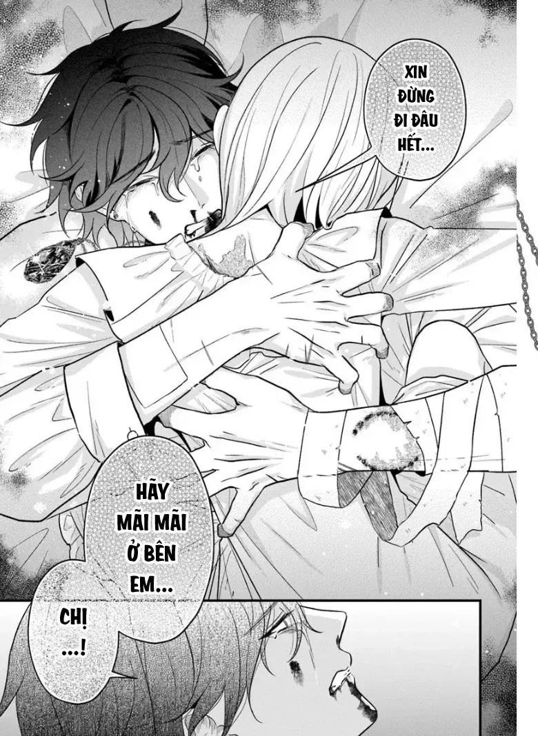 Lời Nói Dối Của Kẻ Gác Mộ Chap 0 - Next Chap 1