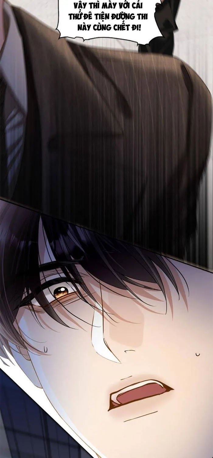 Lời Sám Hối Muộn Màng Chap 50 - Next Chap 51