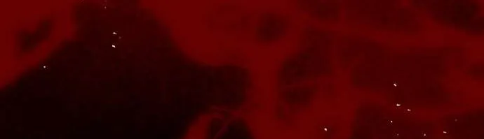 Lời Thú Nhận Của Chúa Tể Bóng Tối Chap 131 - Next Chap 132