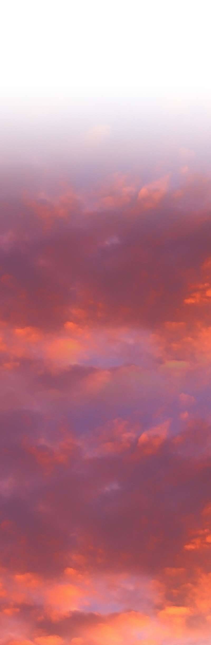 Lời Thú Nhận Của Chúa Tể Bóng Tối Chap 79 - Next Chap 80