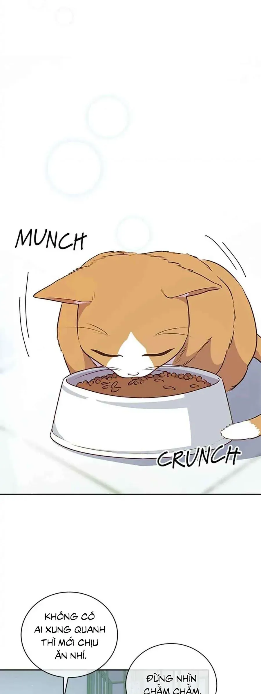 Lời Tỏ Tình Đáng Ngờ Chap 20 - Next Chap 21