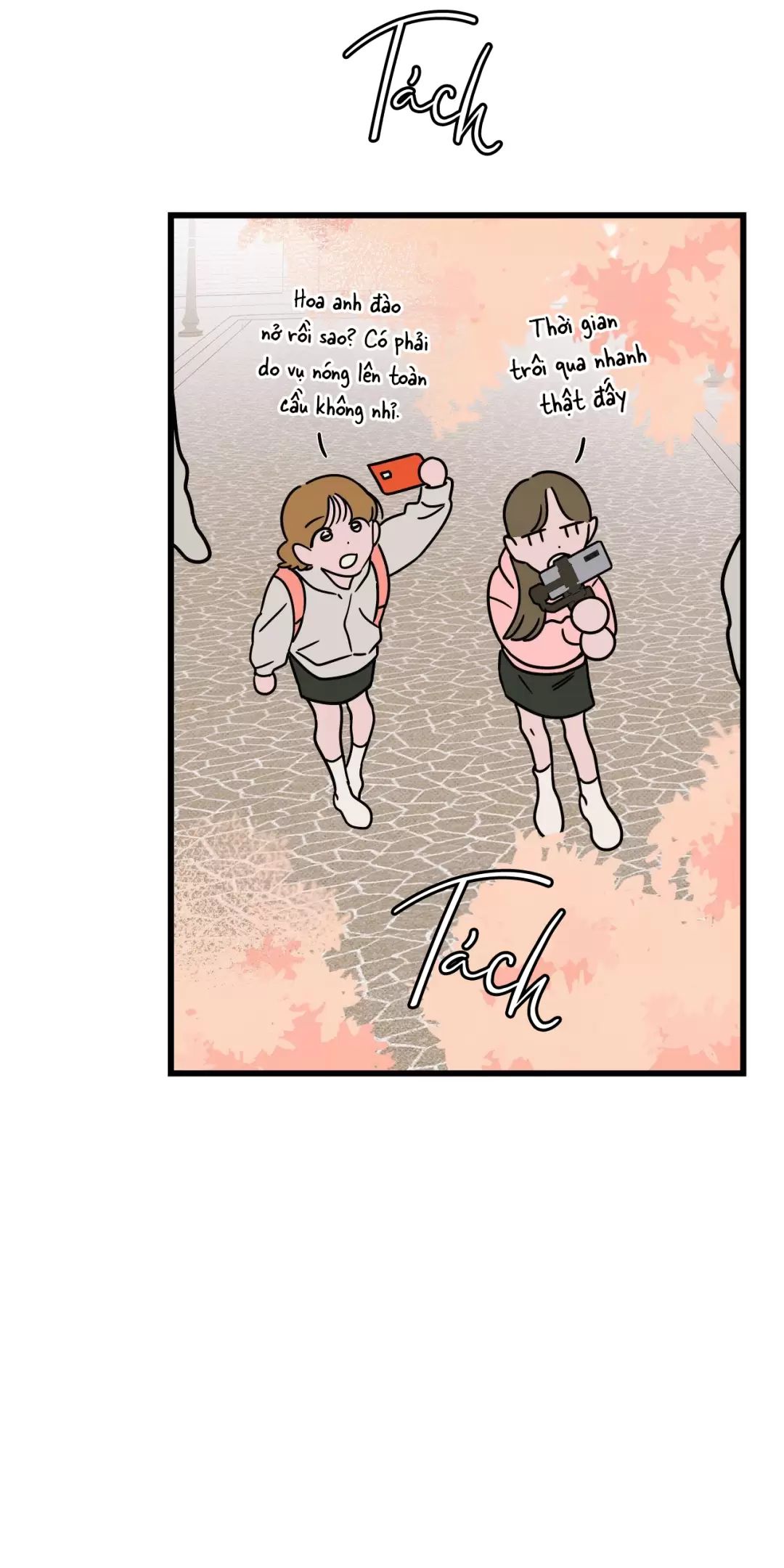 Lời Tỏ Tình Từ Con Số 0 Chap 13 - Next Chap 14