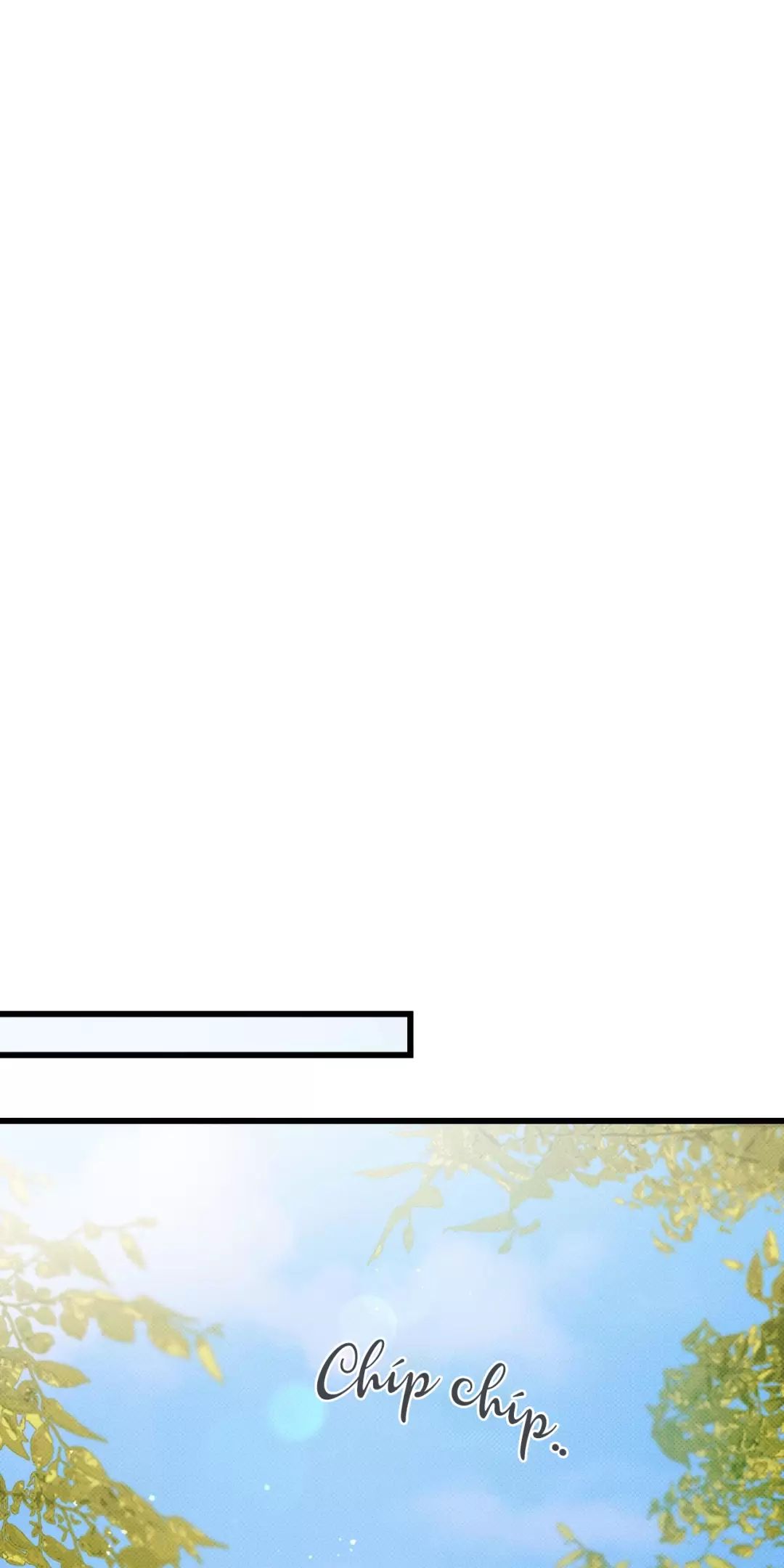 Lời Tỏ Tình Từ Con Số 0 Chap 16 - Next Chap 17