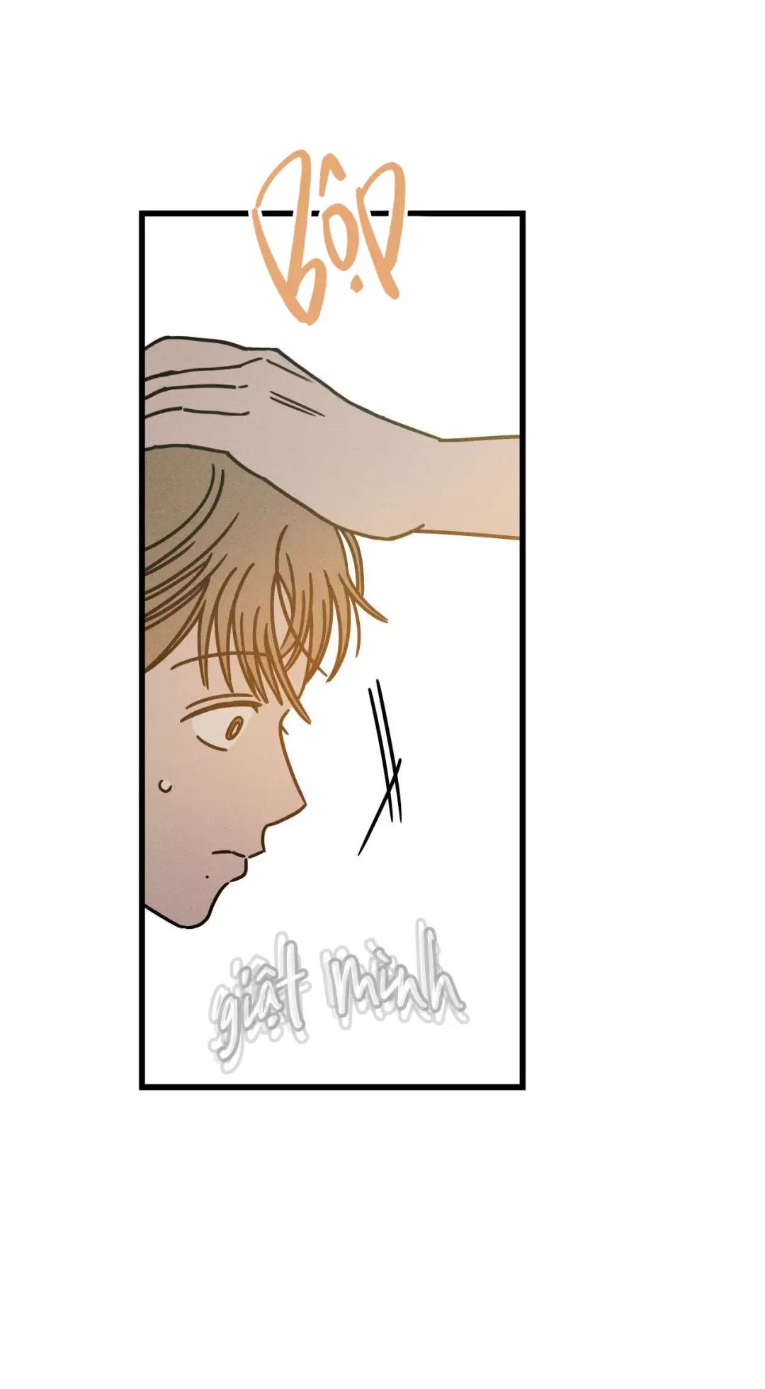 Lời Tỏ Tình Từ Con Số 0 Chap 20 - Next Chap 21