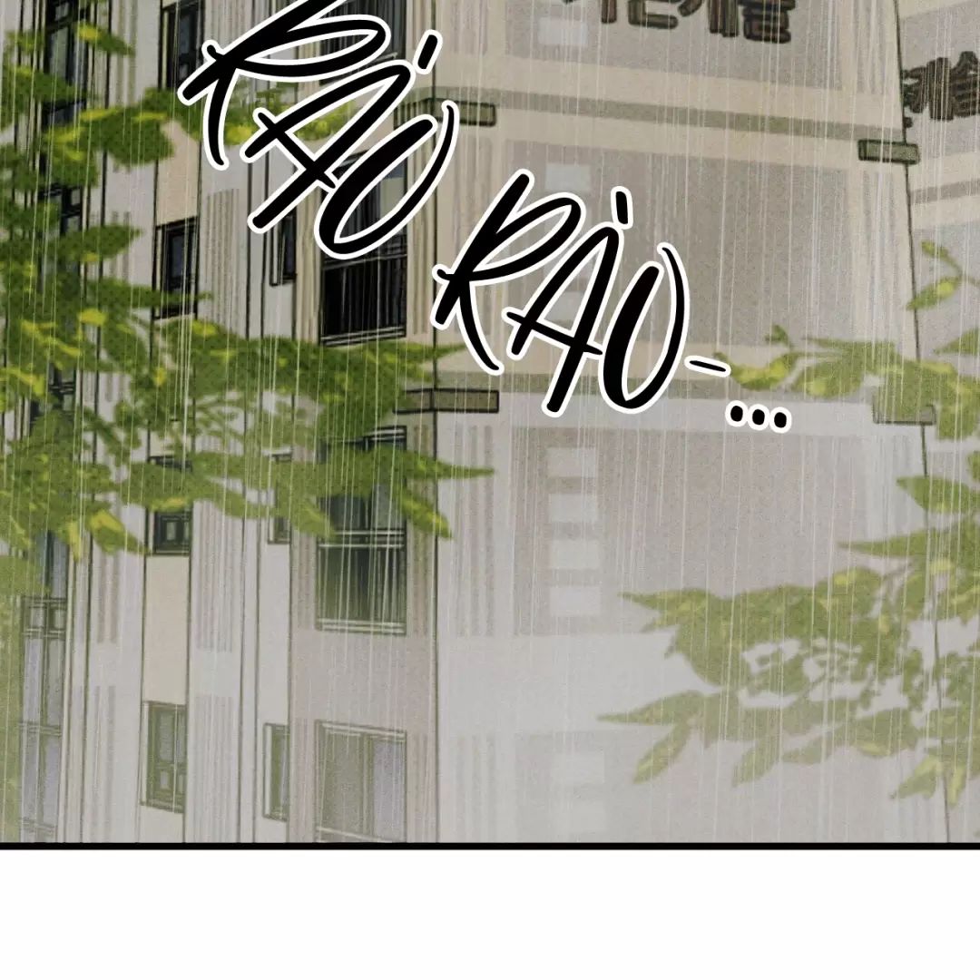 Lời Tỏ Tình Từ Con Số 0 Chap 25 - Next Chap 26