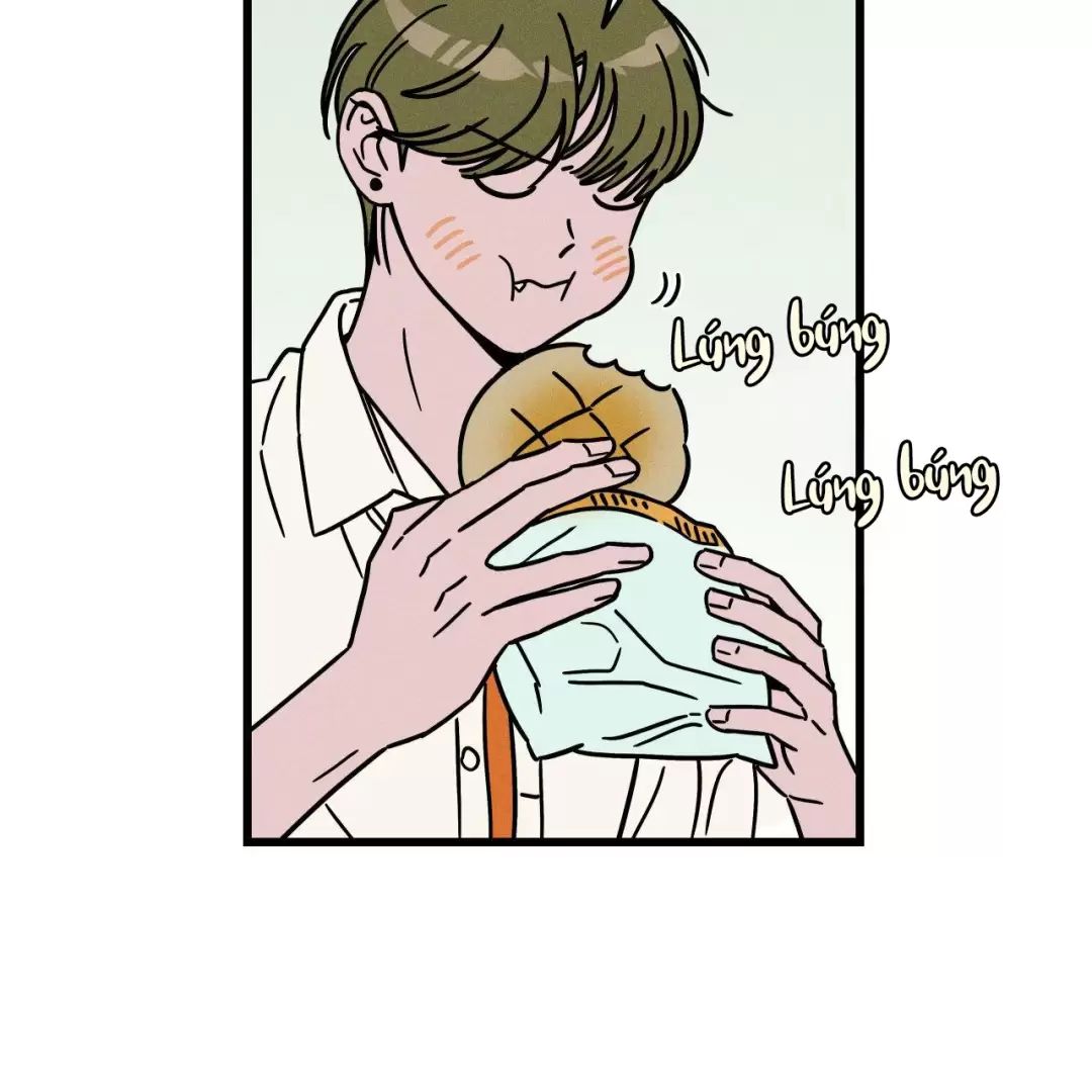 Lời Tỏ Tình Từ Con Số 0 Chap 26 - Next Chap 27