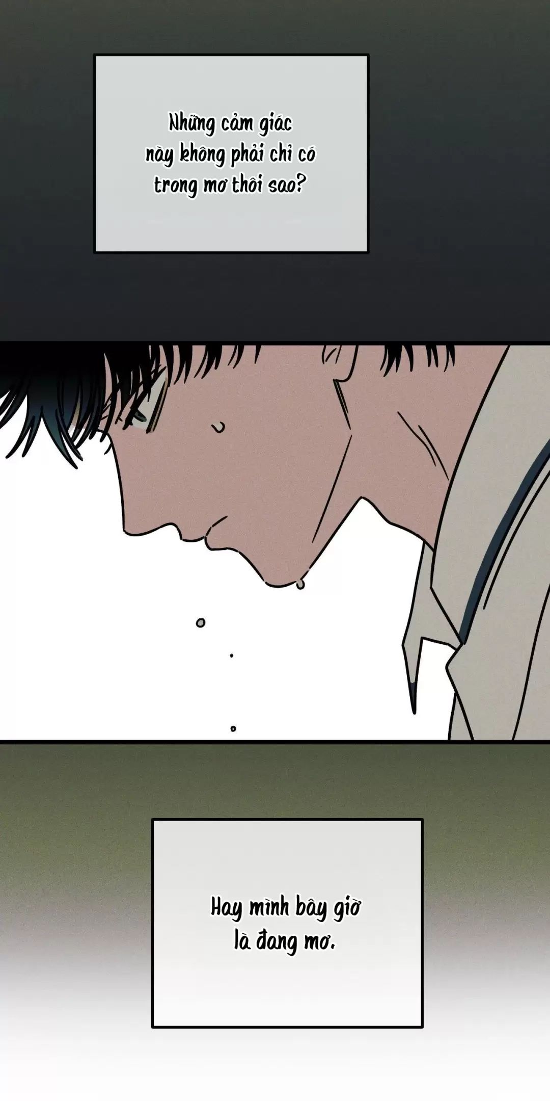 Lời Tỏ Tình Từ Con Số 0 Chap 29 - Next Chap 30