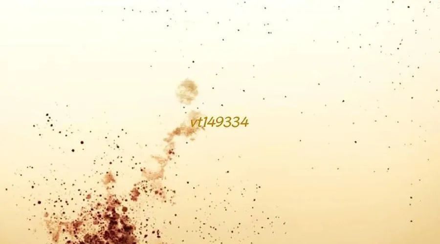 Loser Giỏi Võ Chap 142 - Next Chap 143