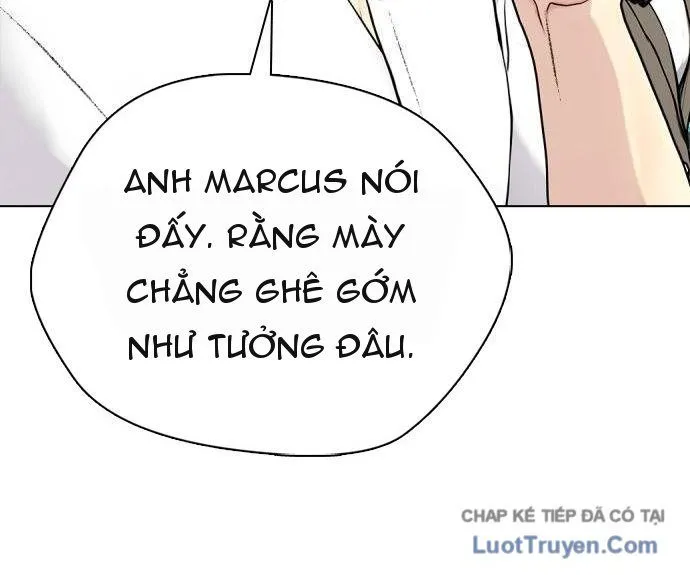 Loser Giỏi Võ Chap 168 - Next Chap 169