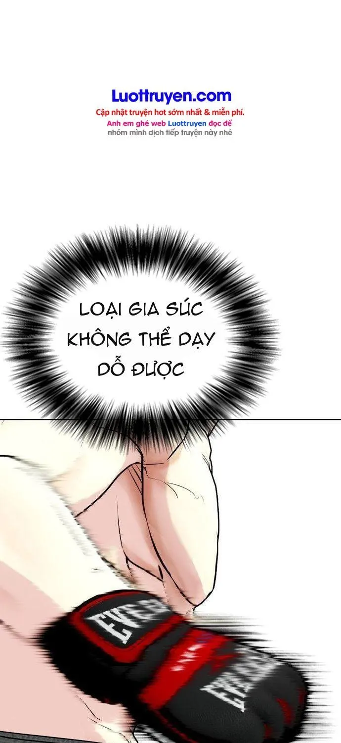 Loser Giỏi Võ Chap 169 - Next Chap 170
