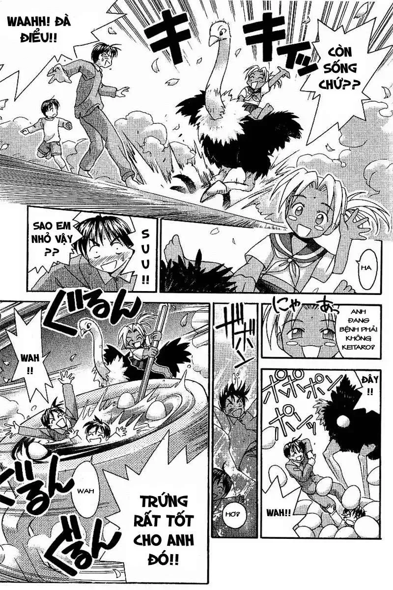 Love Hina Chap 13 - Next Chap 14