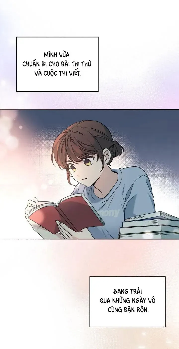 Luật Của Tiểu Thuyết Mạng Chap 222 - Next Chap 223