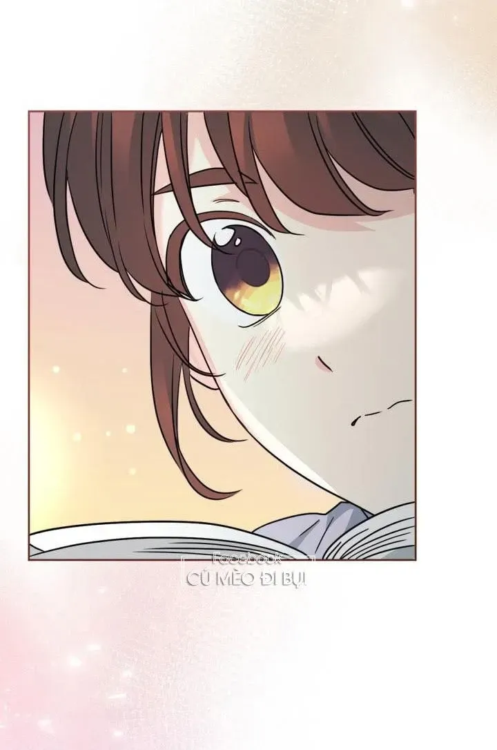 Luật Của Tiểu Thuyết Mạng Chap 222 - Next Chap 223