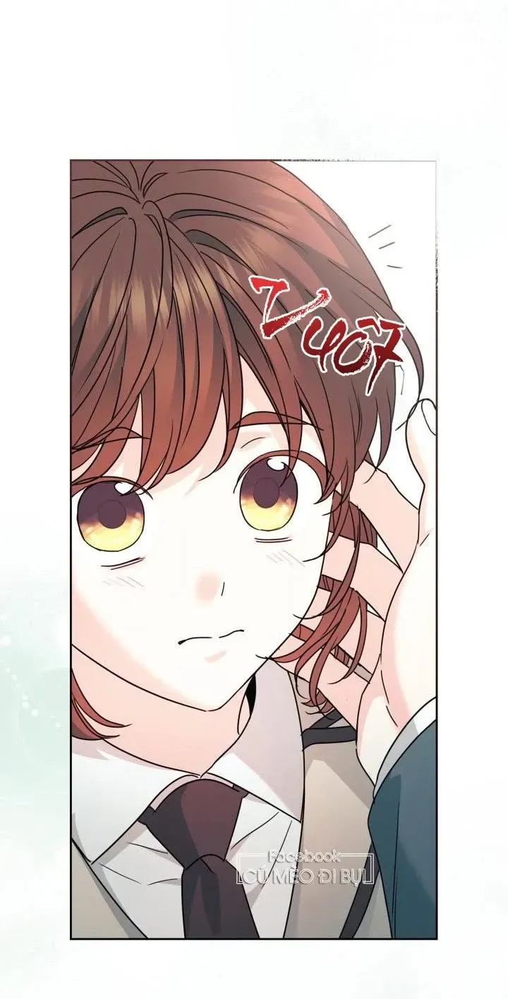 Luật Của Tiểu Thuyết Mạng Chap 222 - Next Chap 223