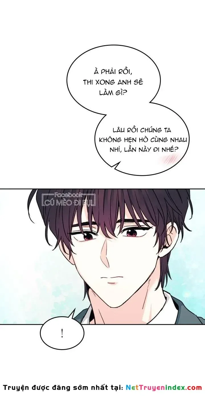 Luật Của Tiểu Thuyết Mạng Chap 222 - Next Chap 223