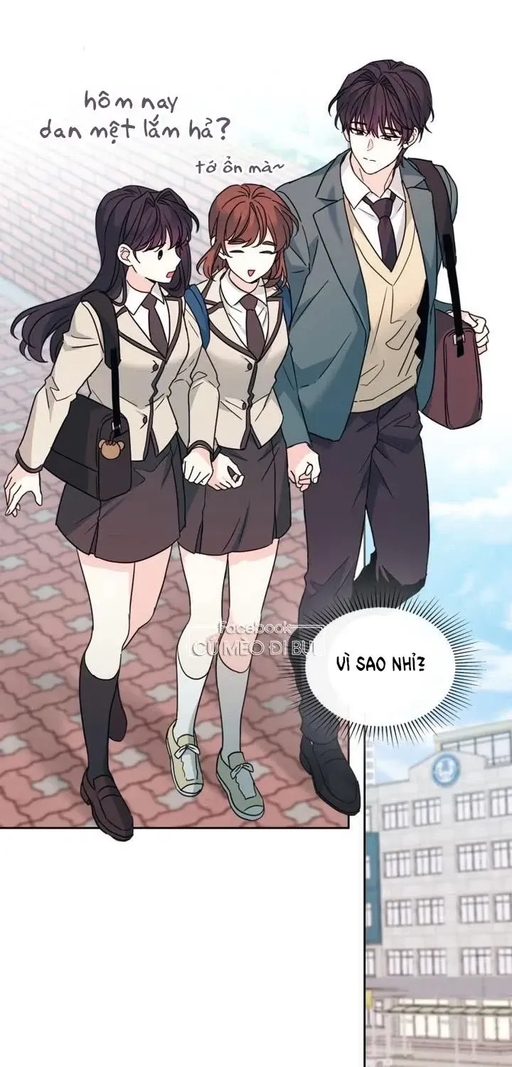 Luật Của Tiểu Thuyết Mạng Chap 222 - Next Chap 223