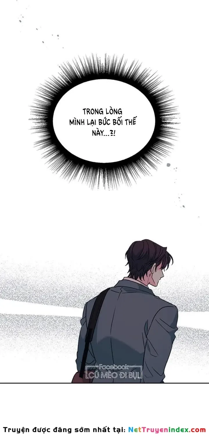 Luật Của Tiểu Thuyết Mạng Chap 222 - Next Chap 223