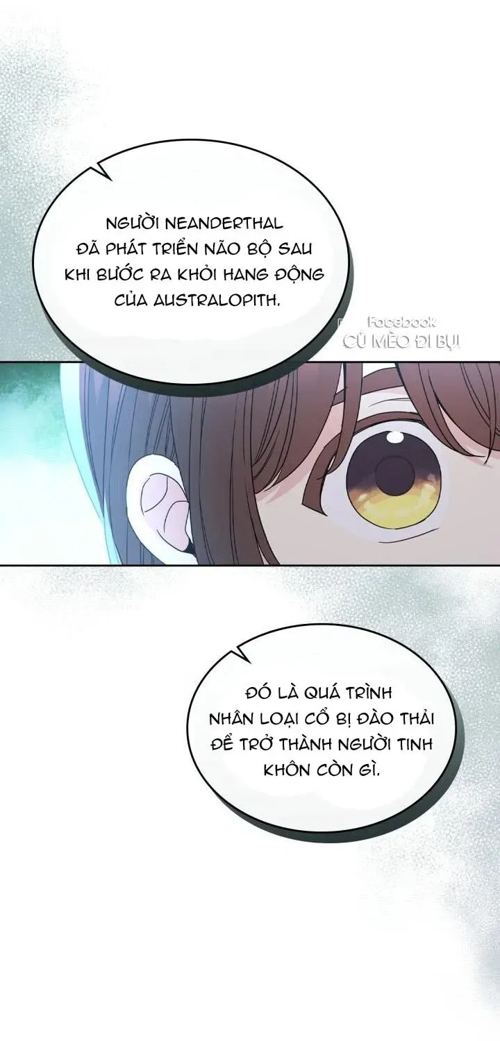 Luật Của Tiểu Thuyết Mạng Chap 223 - Next Chap 224