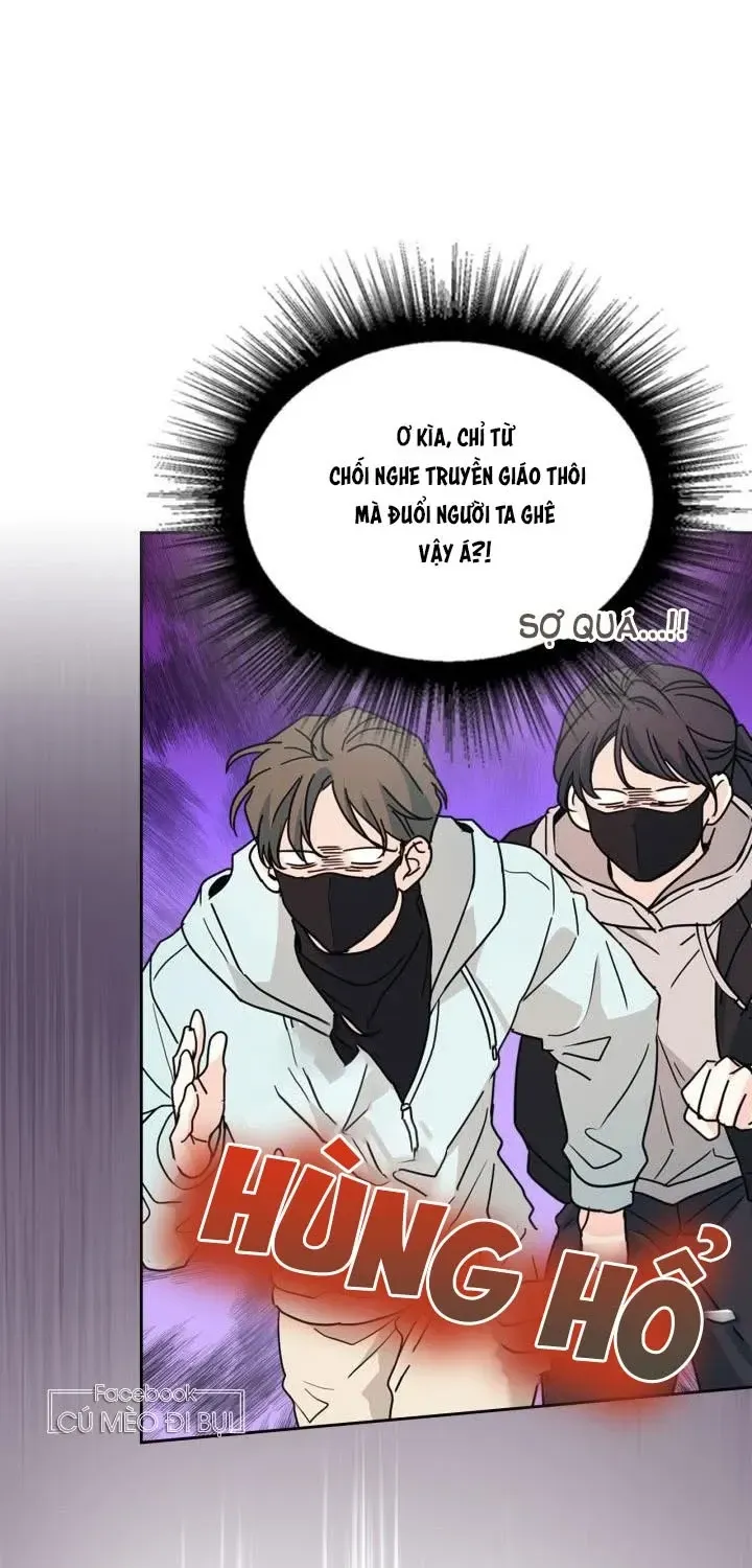Luật Của Tiểu Thuyết Mạng Chap 223 - Next Chap 224