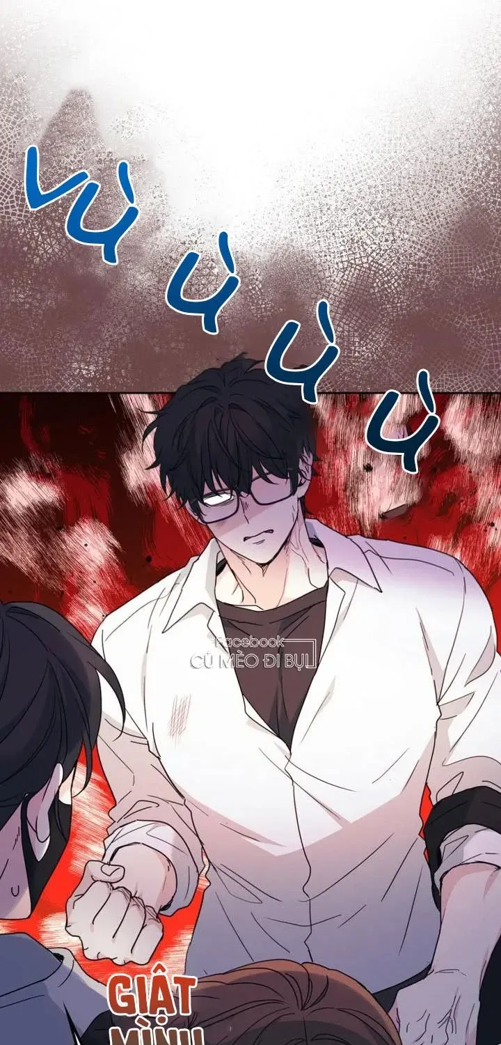 Luật Của Tiểu Thuyết Mạng Chap 223 - Next Chap 224