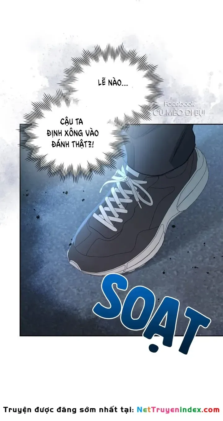 Luật Của Tiểu Thuyết Mạng Chap 223 - Next Chap 224