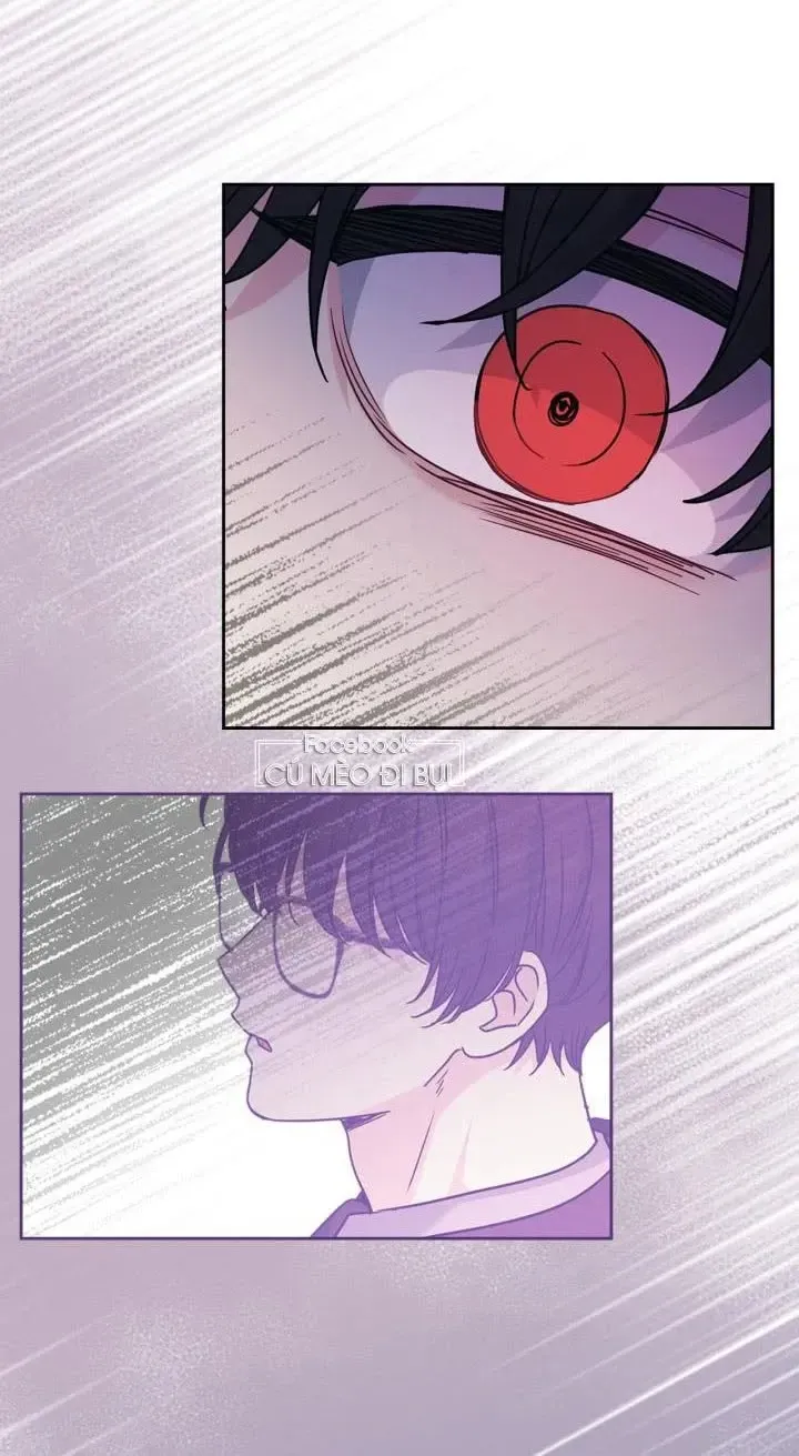 Luật Của Tiểu Thuyết Mạng Chap 223 - Next Chap 224