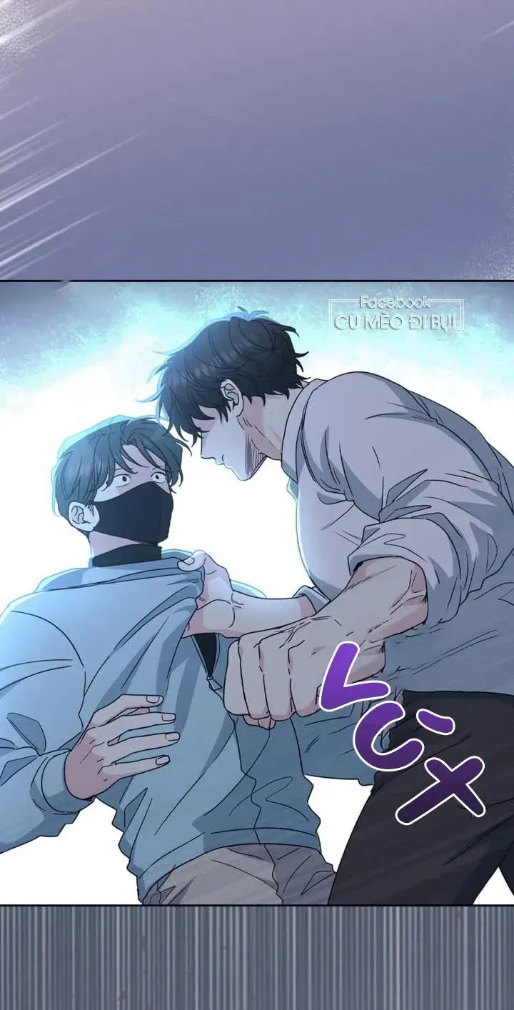 Luật Của Tiểu Thuyết Mạng Chap 223 - Next Chap 224