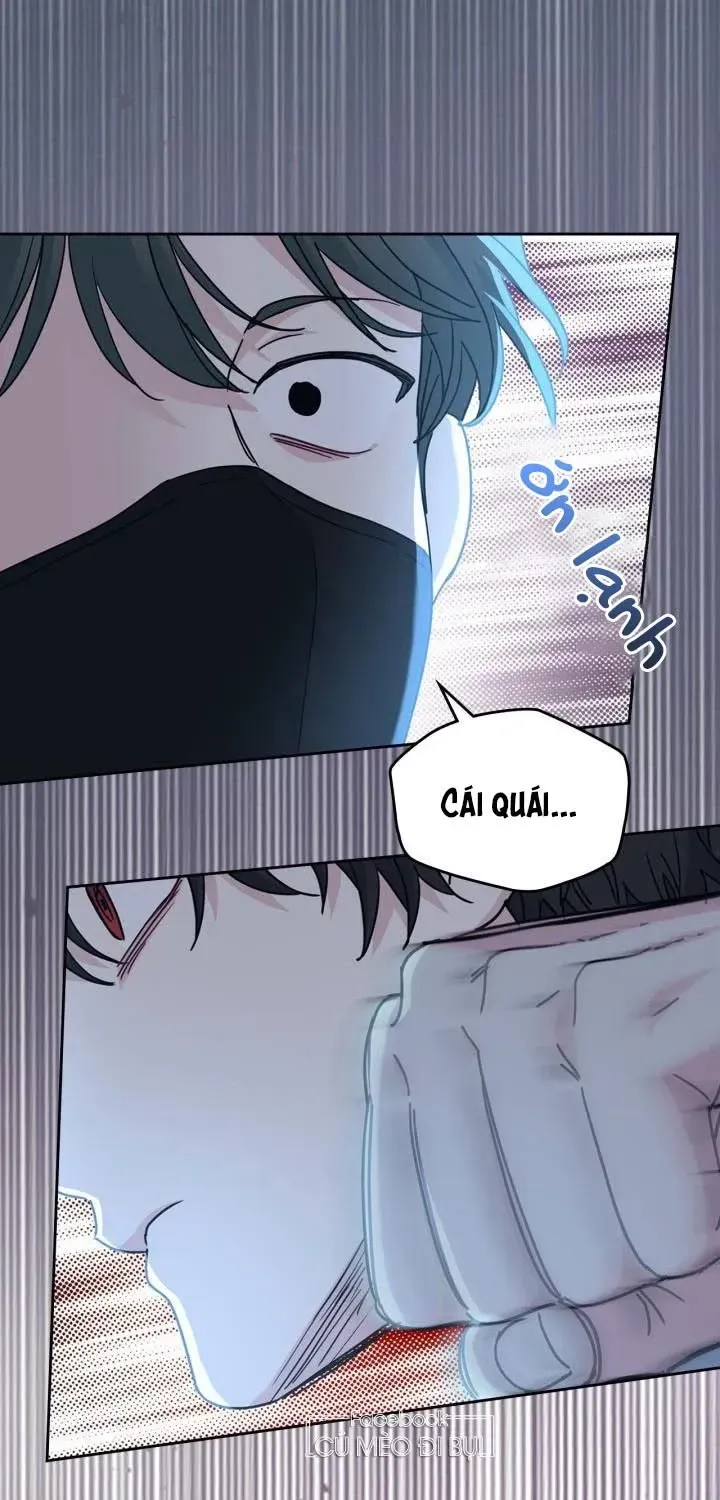 Luật Của Tiểu Thuyết Mạng Chap 223 - Next Chap 224