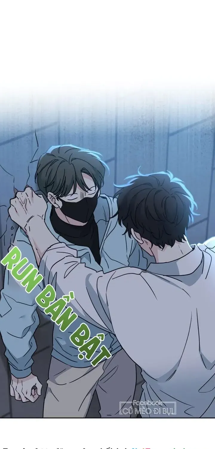 Luật Của Tiểu Thuyết Mạng Chap 223 - Next Chap 224