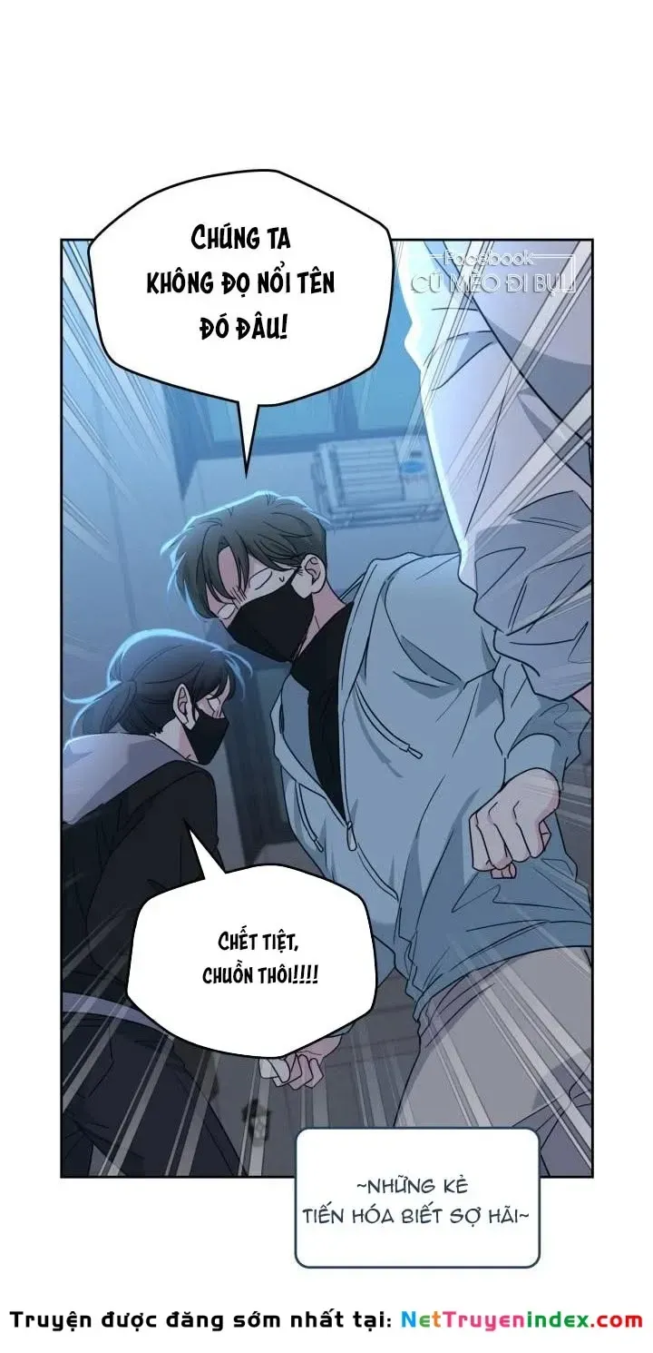 Luật Của Tiểu Thuyết Mạng Chap 223 - Next Chap 224