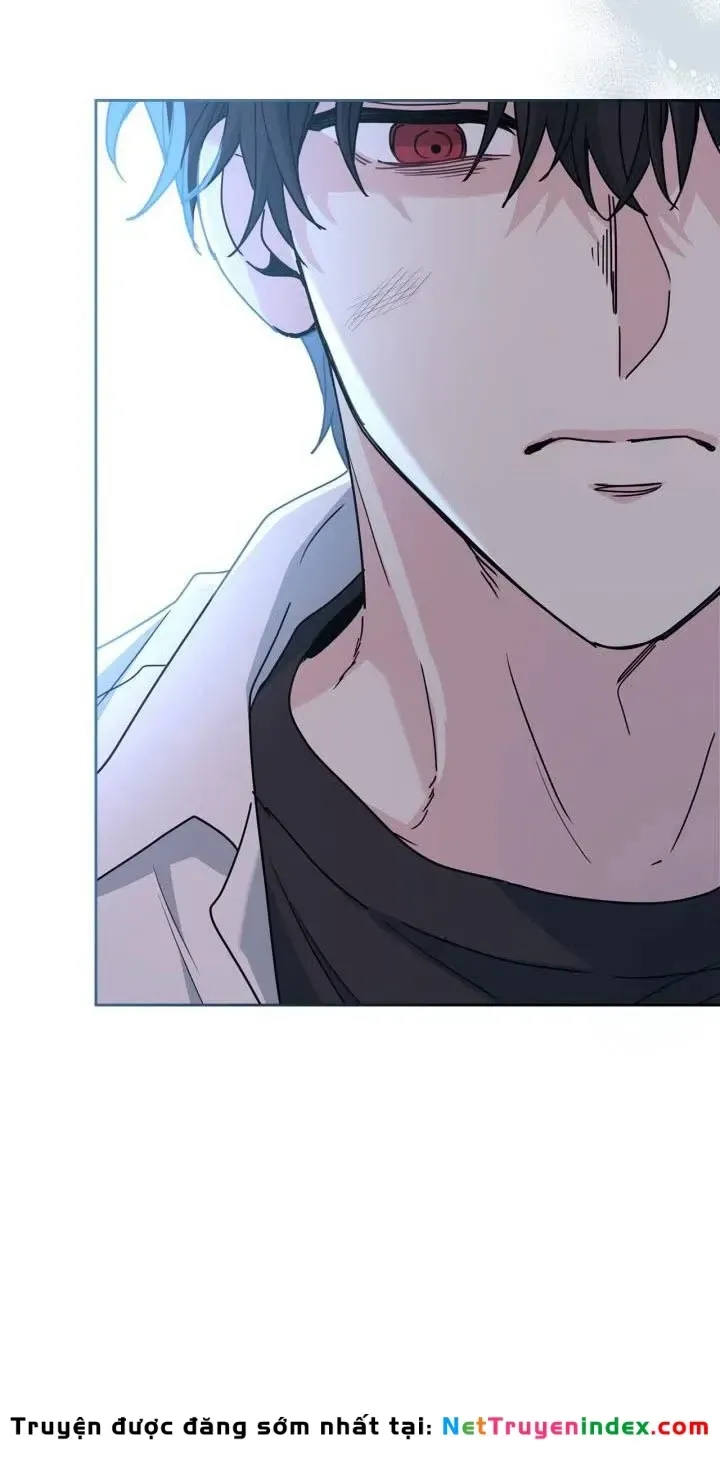 Luật Của Tiểu Thuyết Mạng Chap 223 - Next Chap 224