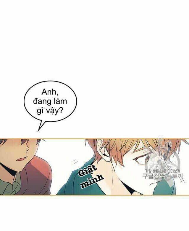 Luật Của Tiểu Thuyết Mạng Chap 55 - Next Chap 56