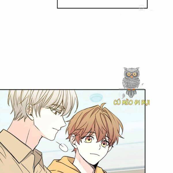 Luật Của Tiểu Thuyết Mạng Chap 99 - Next Chap 100