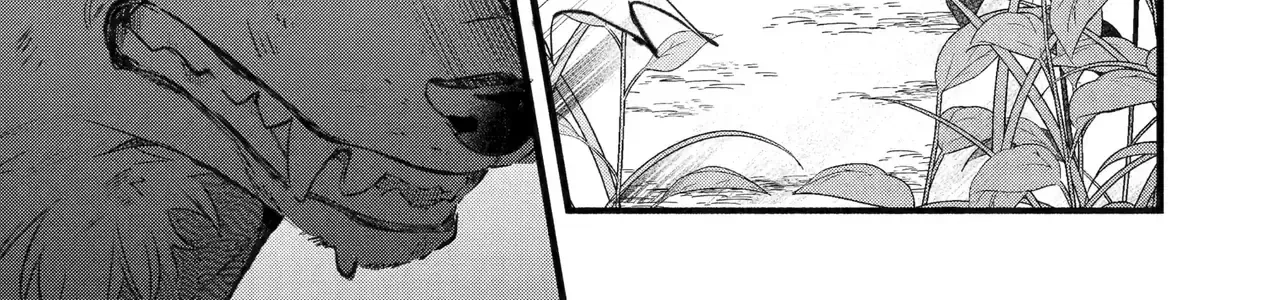 Luyện Thú Sư Bị Trục Xuất, Gặp Gỡ Linh Miêu Tộc Chap 81 - Next Chap 82