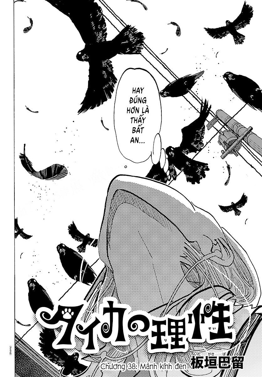 Lý Trí Của Taika Chap 38 - Next Chap 39