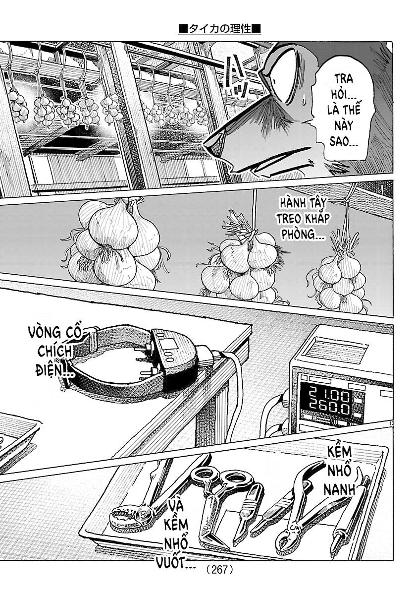 Lý Trí Của Taika Chap 38 - Next Chap 39