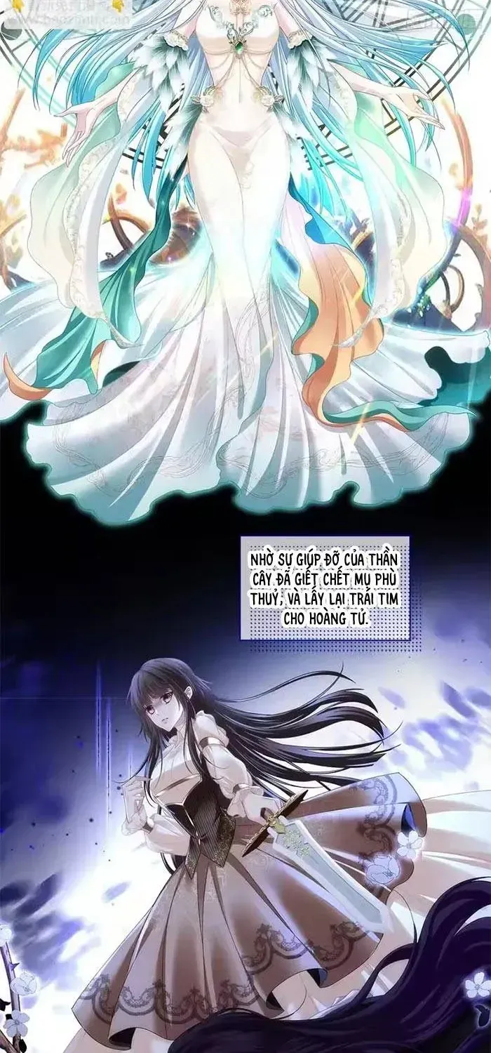 Ma Nữ Trở Lại Và Cuộc Hôn Nhân Định Mệnh Chap 26 - Next Chap 27