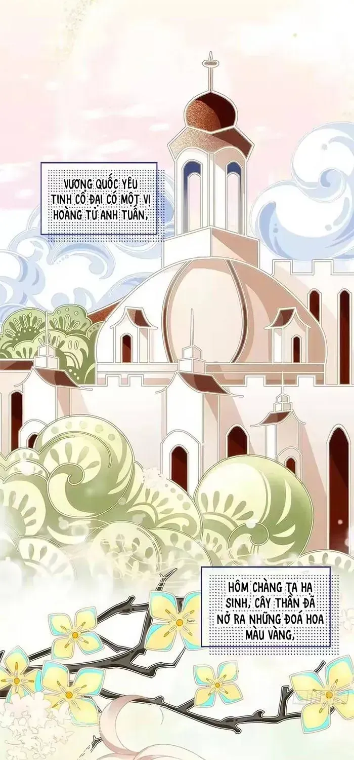 Ma Nữ Trở Lại Và Cuộc Hôn Nhân Định Mệnh Chap 26 - Next Chap 27