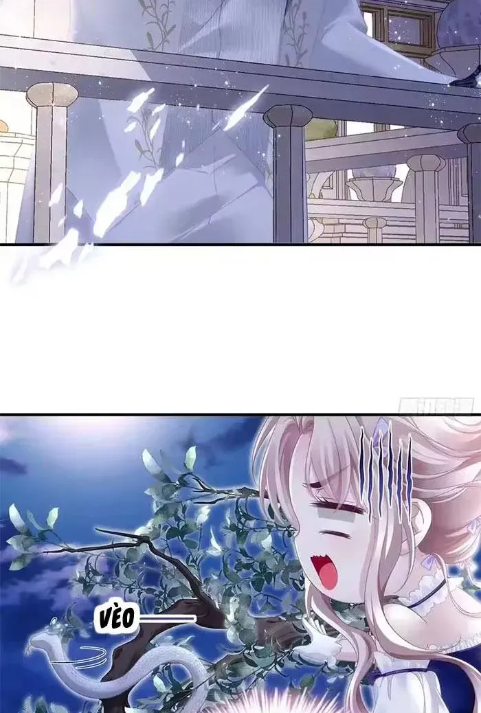 Ma Nữ Trở Lại Và Cuộc Hôn Nhân Định Mệnh Chap 27 - Next Chap 28