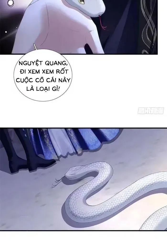 Ma Nữ Trở Lại Và Cuộc Hôn Nhân Định Mệnh Chap 27 - Next Chap 28