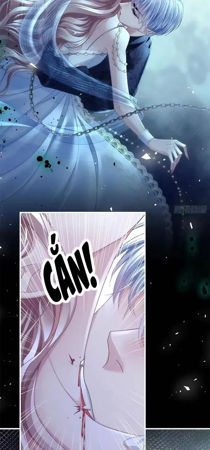 Ma Nữ Trở Lại Và Cuộc Hôn Nhân Định Mệnh Chap 31 - Next Chap 32