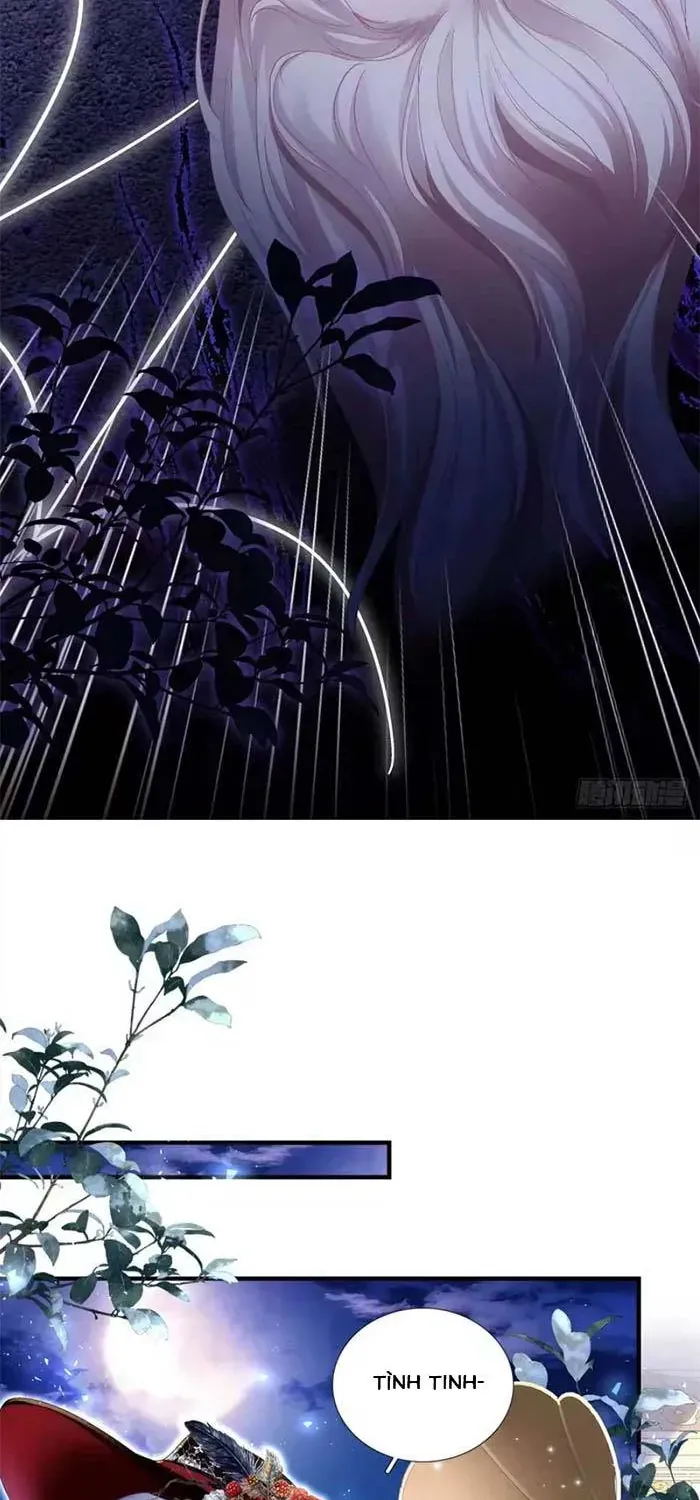 Ma Nữ Trở Lại Và Cuộc Hôn Nhân Định Mệnh Chap 33 - Next Chap 34