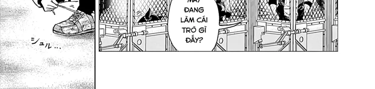 Mã Nương Lọ Lem Xám Chap 1 - Next Chap 2