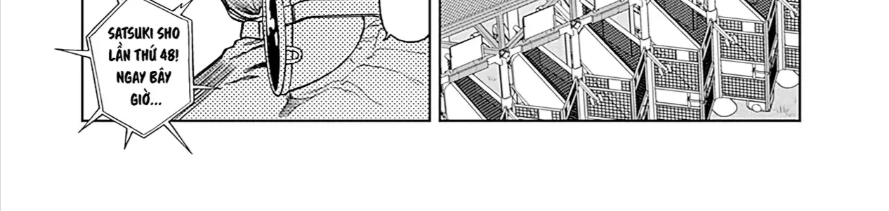 Mã Nương Lọ Lem Xám Chap 24 - Next Chap 25