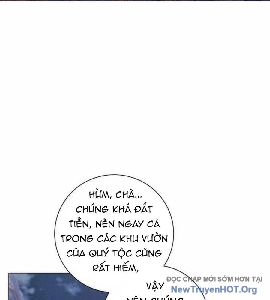 Ma Pháp Quân Chủ Chap 18 - Next Chap 19