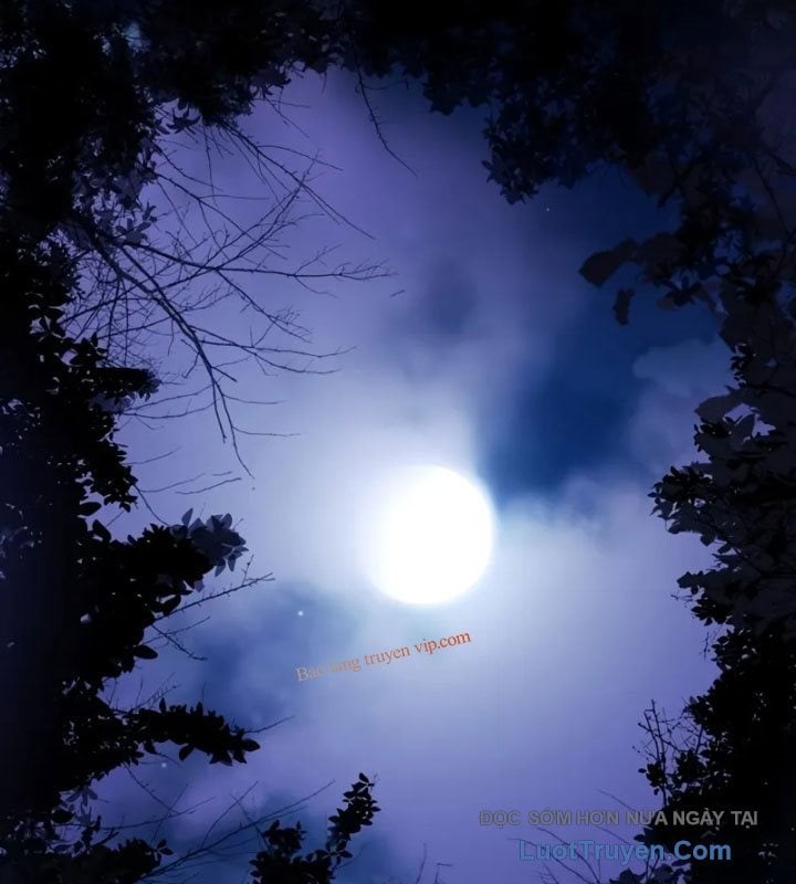 Ma Pháp Sư Hắc Ám Trở Về Để Nhập Ngũ Chap 52 - Next Chap 53