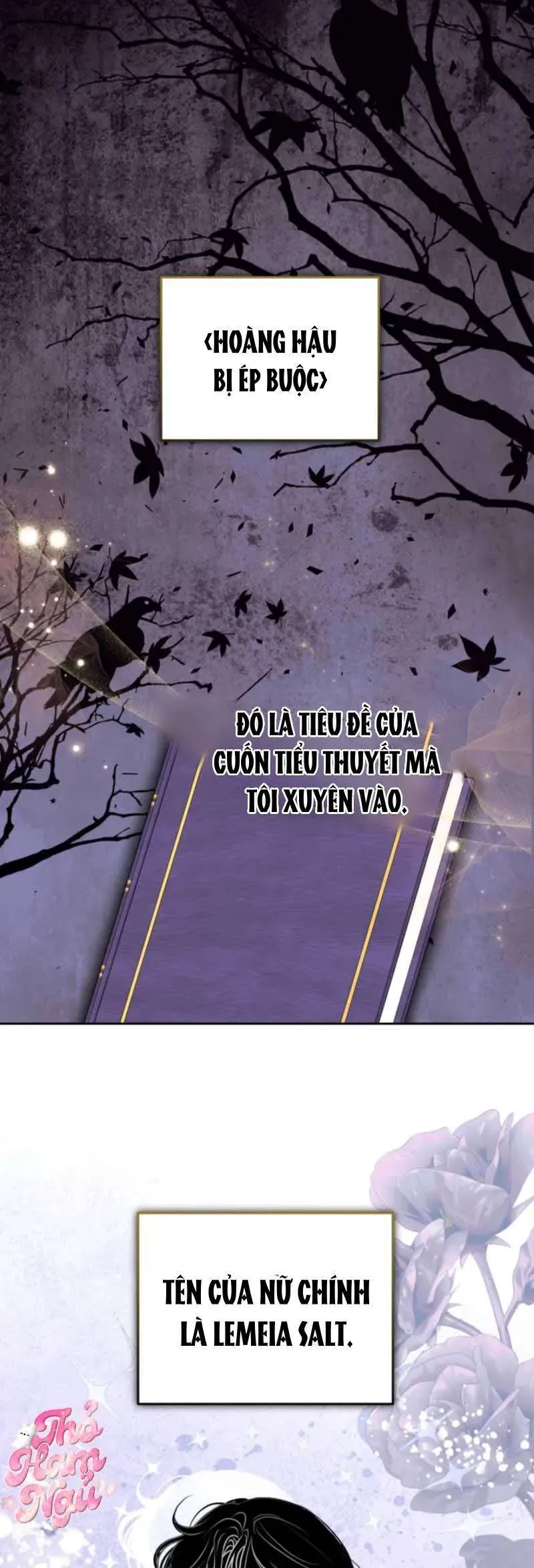 Mặc Dù Thích Ở Nhà Nhưng Tôi Lại Xuyên Vào Thể Loại Giam Cầm Đen Tối Chap 1 - Next Chap 2